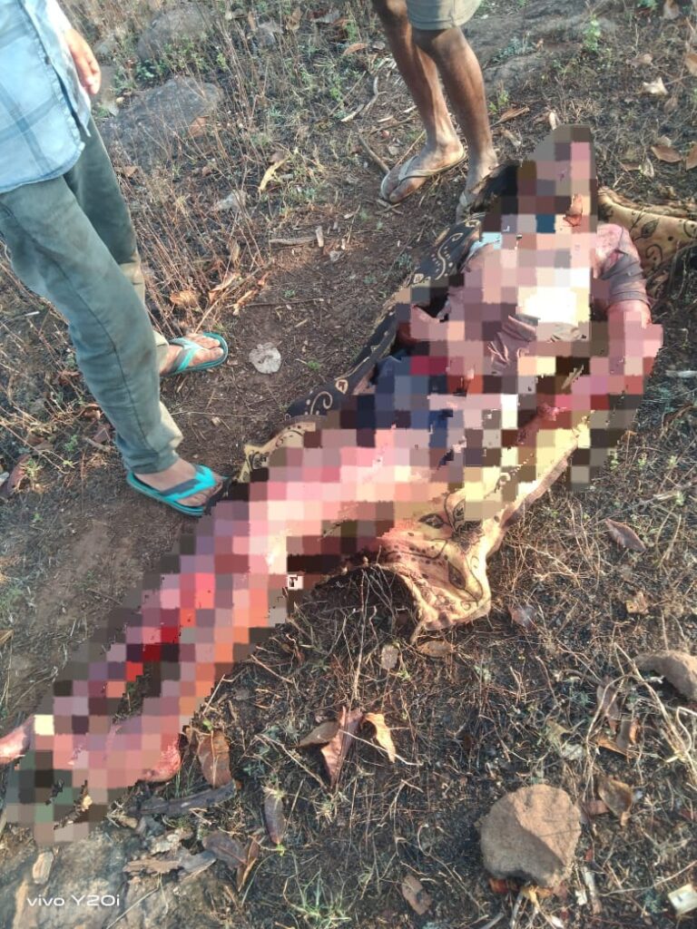 Surajpur: आदमखोर हुआ बाघ, तीन ग्रामीणों पर किया हमला; दो की मौत