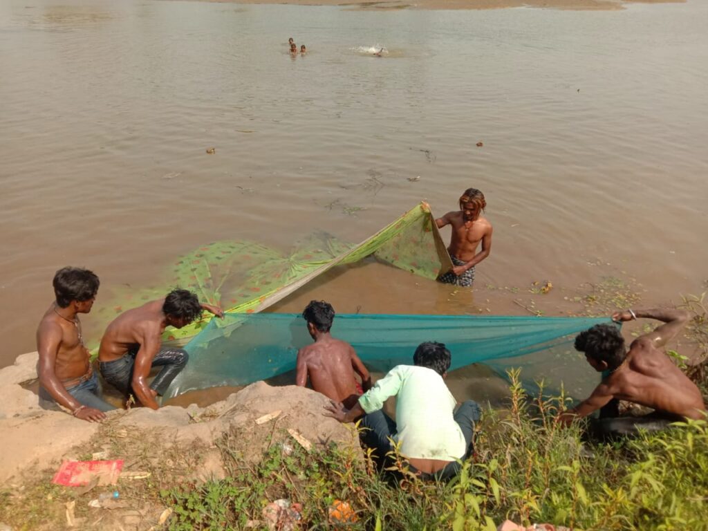 Balrampur: कन्हर का जलस्तर कम होते ही जहरीली दवा डाल मछली मार रहे लोग, दूषित हो रहा नदी का पानी