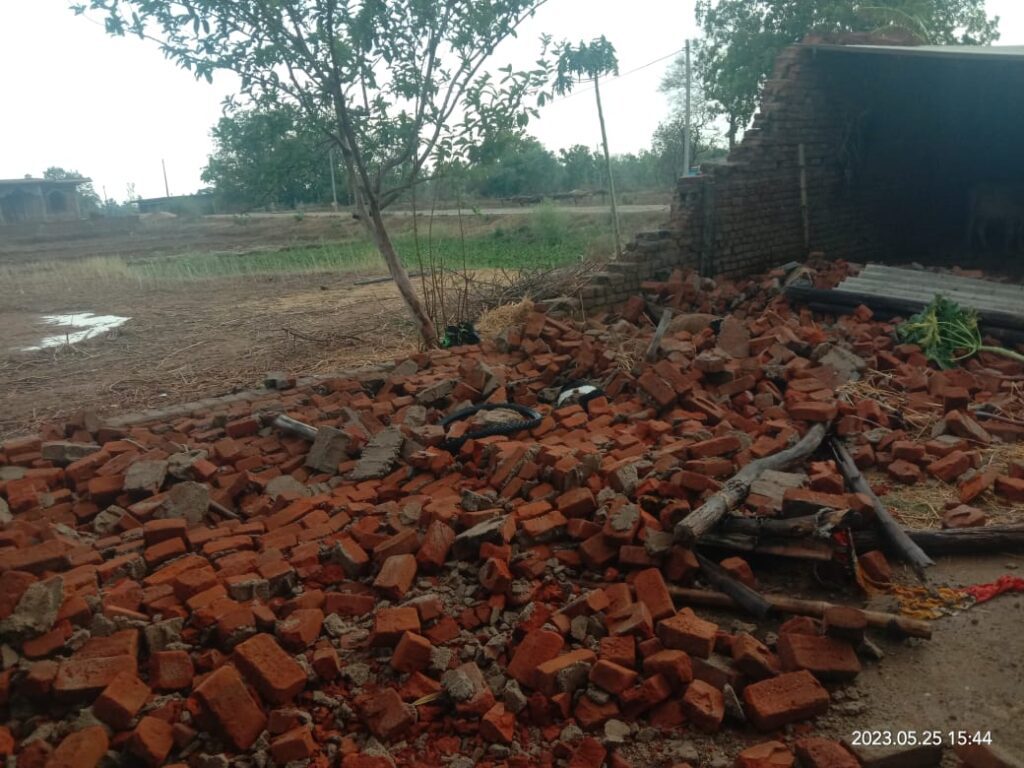 बारिश और आंधी तूफान में दो मवेशियों की मौत, दो घायल