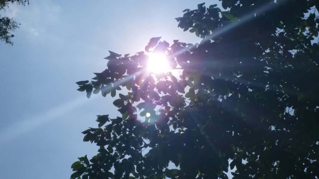 Jharkhand: राज्य में ठंड की दस्तक, रात में बढ़ी सिहरन