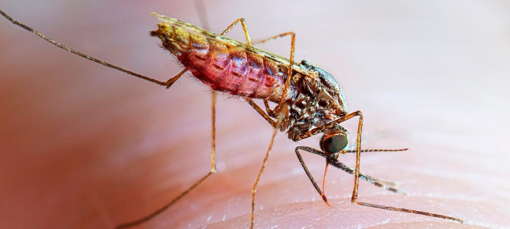 जिले में लगातार कम होती जा रही मलेरिया रोगियों की संख्या