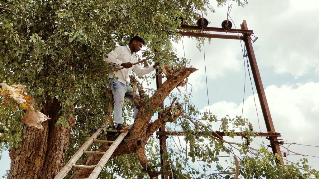 प्री मानसून मेंटेनेंस कार्य में जुटा विद्युत विभाग, शहरी और ग्रामीण क्षेत्रों में अलग-अलग दिनों में होगा मेंटेनेंस
