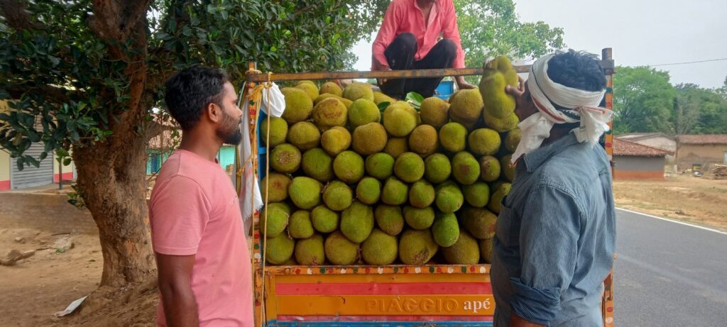 Offbeat News: खूंटी का कटहल नेपाल के लोगों की पहली पसंद Offbeat News