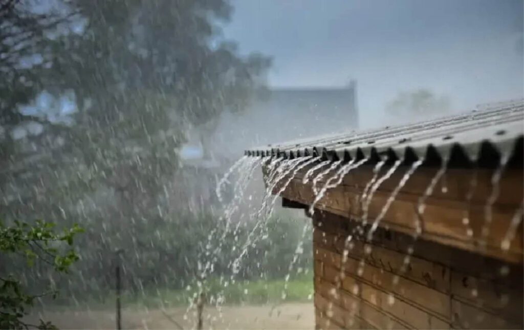 Monsoon Update: छत्तीसगढ़ में 26 -27 को भारी बारिश का येलो अलर्ट Chhattisgarh Monsoon Update