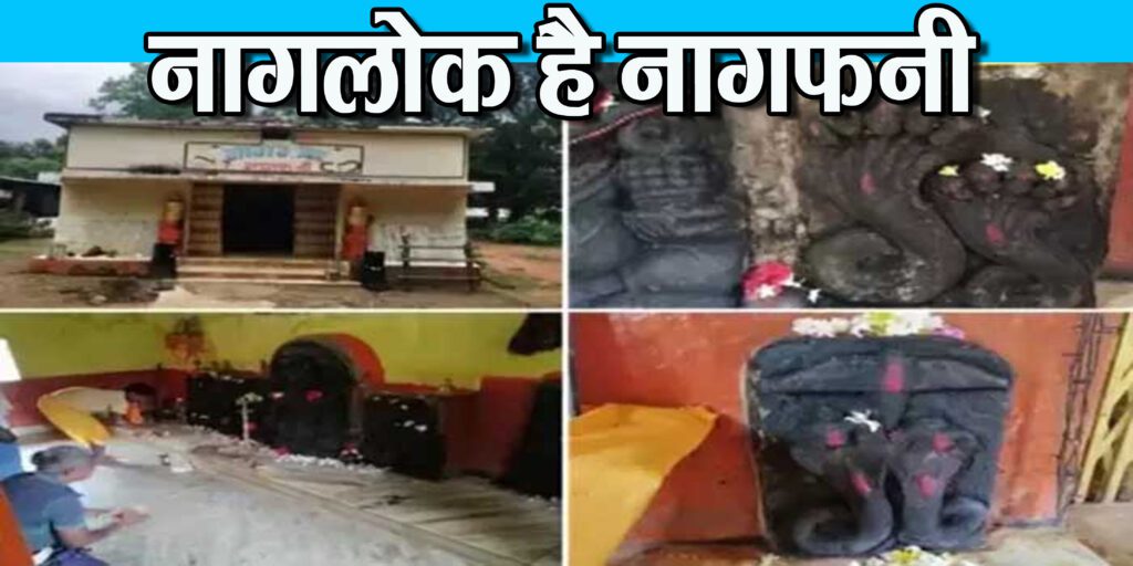 बारसूर के नागफनी में नाग देवता का पुरातत्व विभाग के द्वारा संरक्षित 10वीं-11वीं शताब्दी का प्राचीन मंदिर दर्शनीय