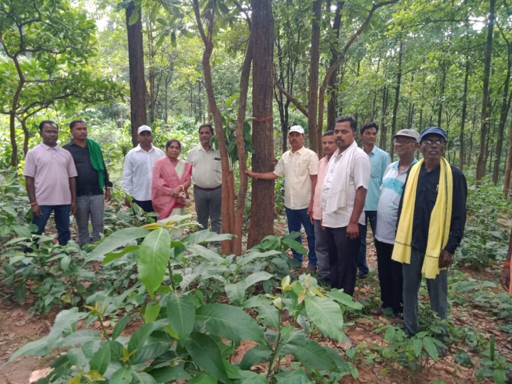 पिलपिलो में मना वन महोत्सव