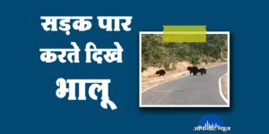 Ramanujganj News
