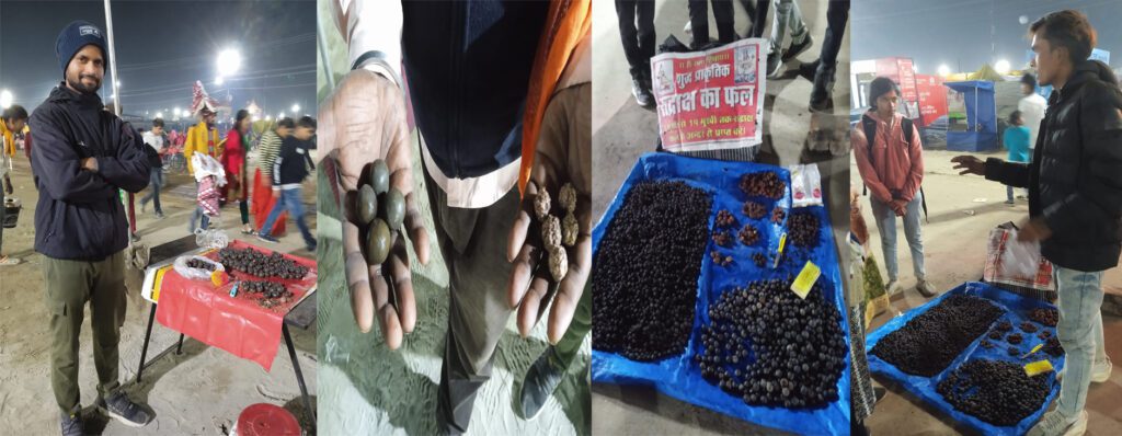 महाकुम्भ : 25 रुपये में ले जाइये 3 हजार की कीमत वाला एकमुखी रूद्राक्ष