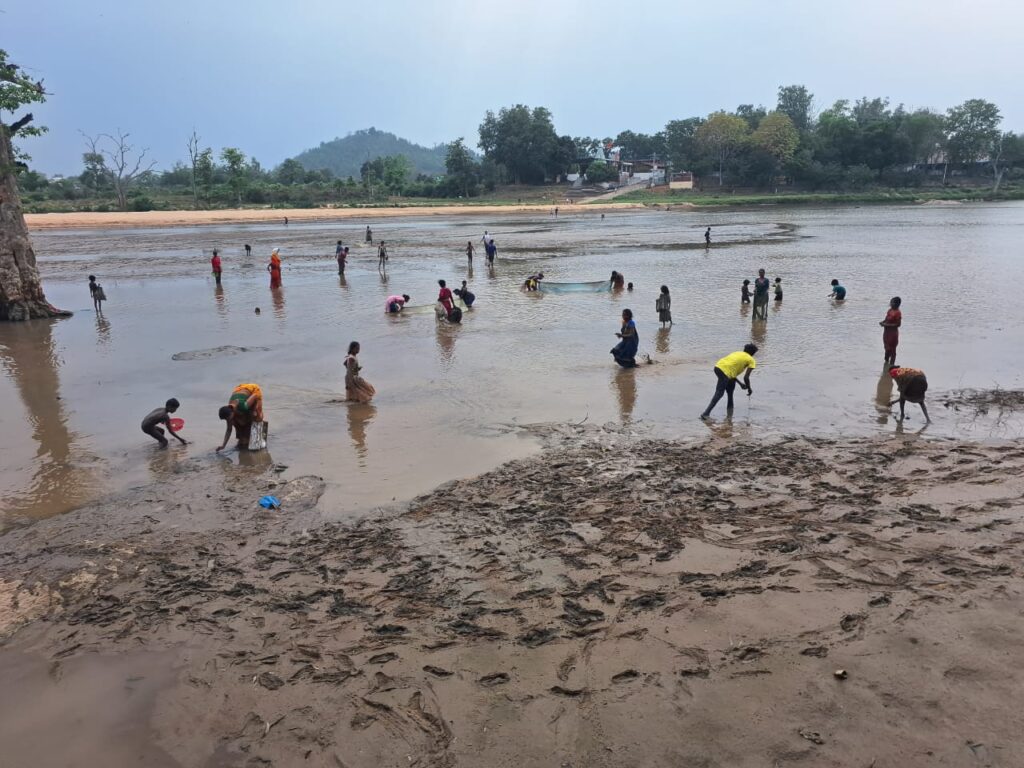 बलरामपुर : अचानक सुखी जीवनदायिनी कन्हर नदी, मछुआरों के बीच मछली मारने की मची होड़