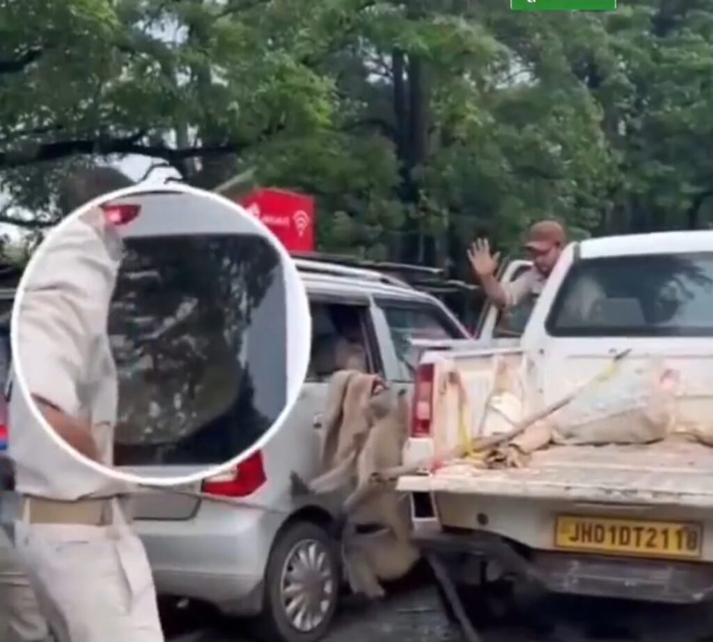 इंसानों की दरिंदगी: लंगूर पर इस कदर प्रहार, इंसानियत शर्मशार