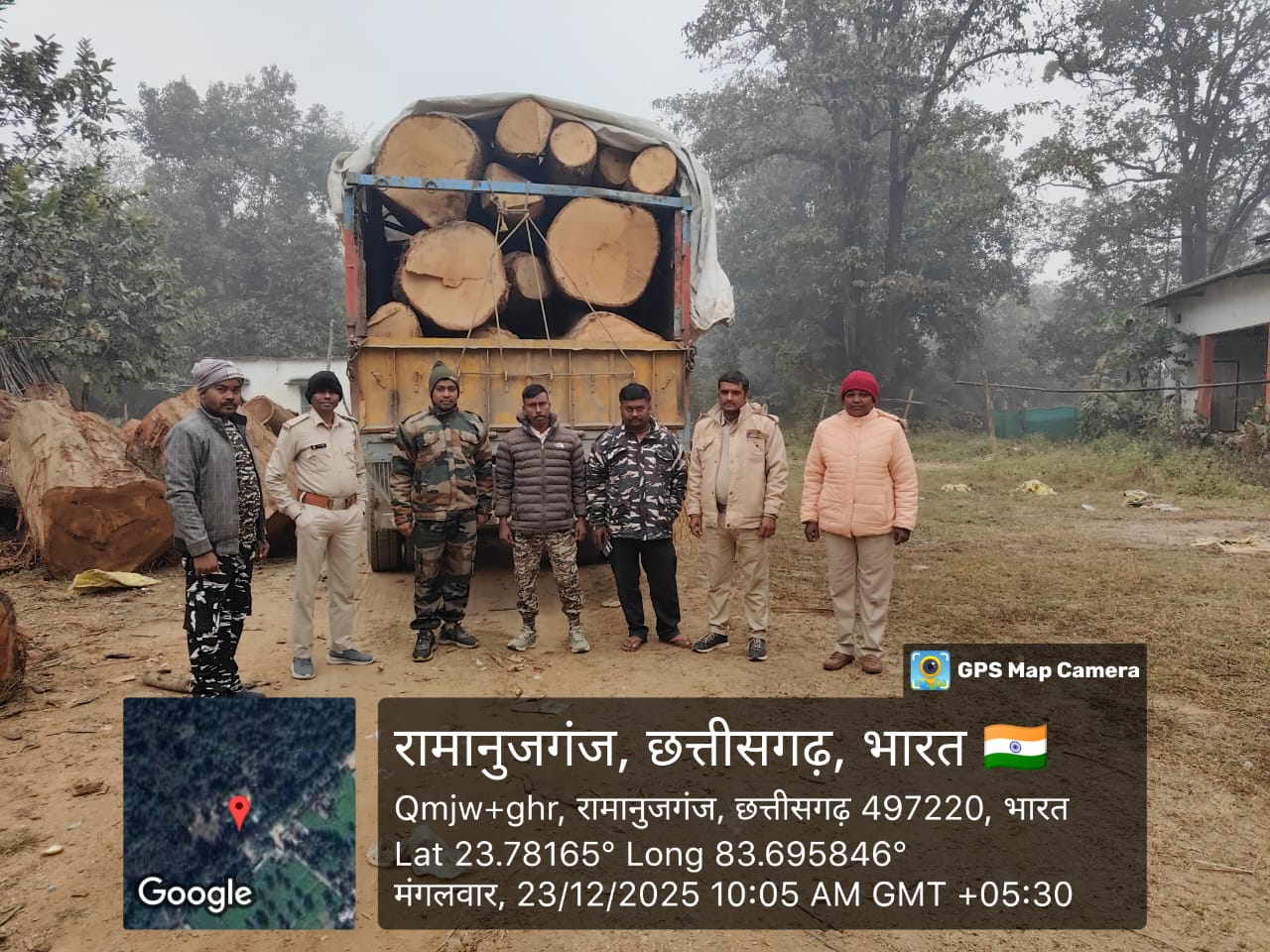 Illegal Timber Transportation