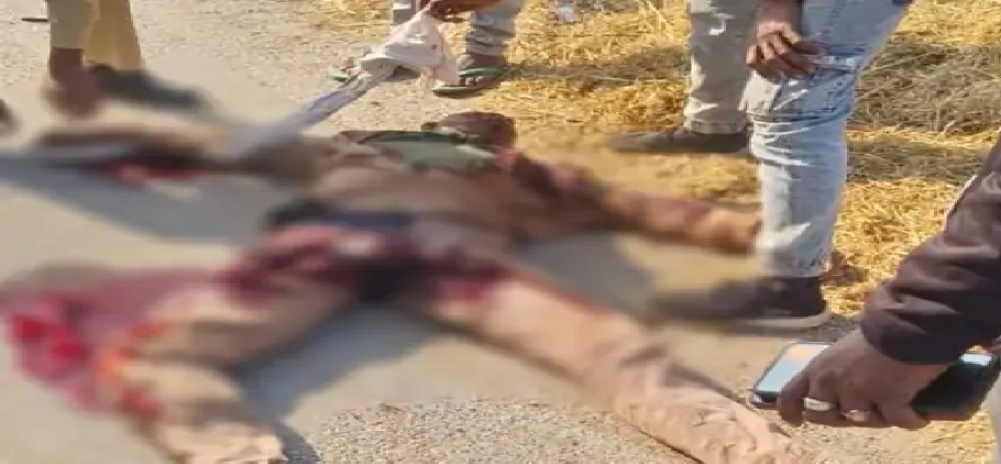 Sanawal Road Accident