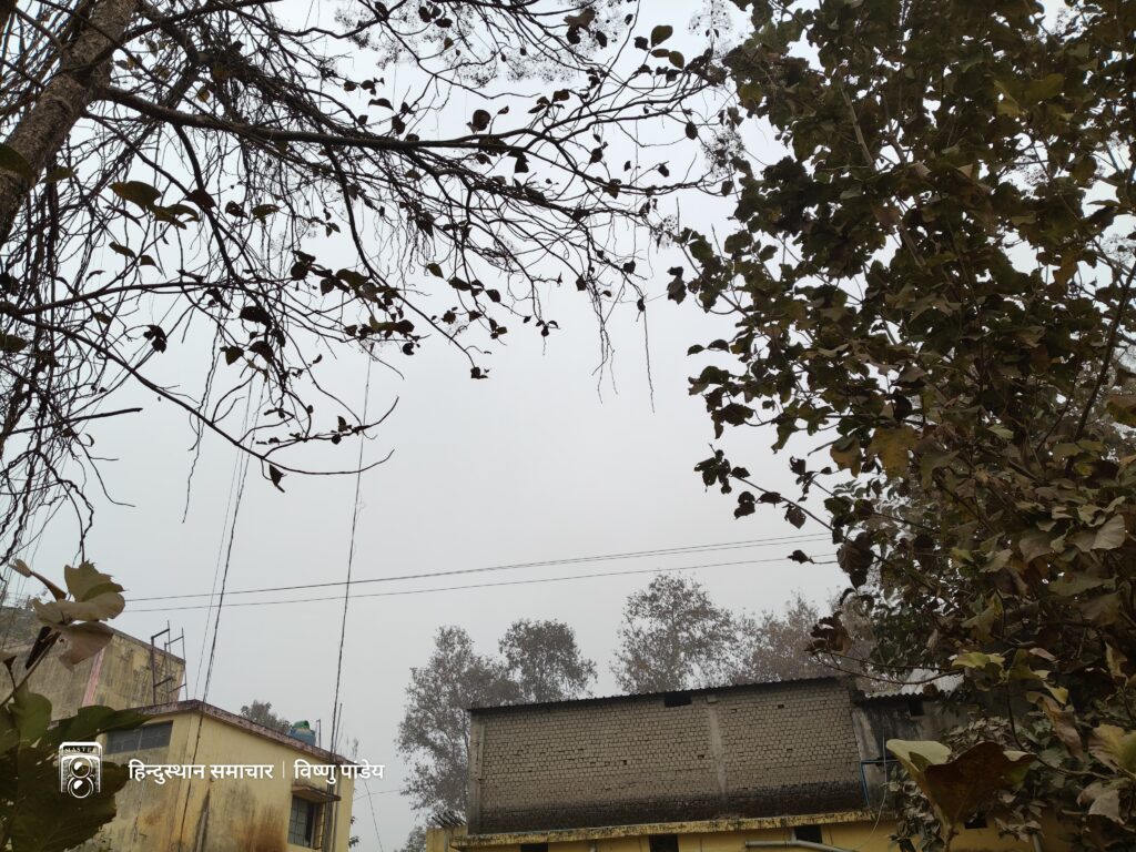 उत्तर छत्तीसगढ़ में फिर बढ़ी ठंड, शीतलहर–कोहरे ने बढ़ाई ठिठुरन