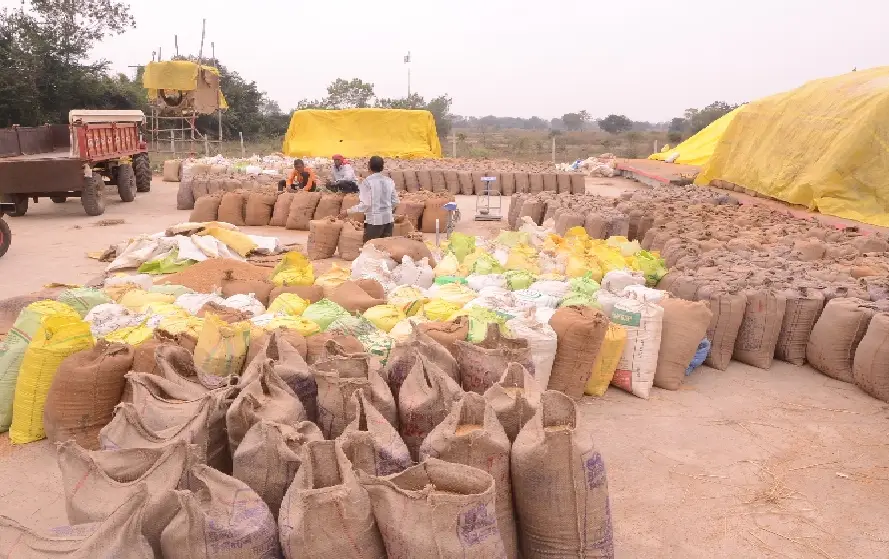 किसानों के हित में मुख्यमंत्री साय के निर्देश पर 6 फरवरी तक होगी धान खरीद