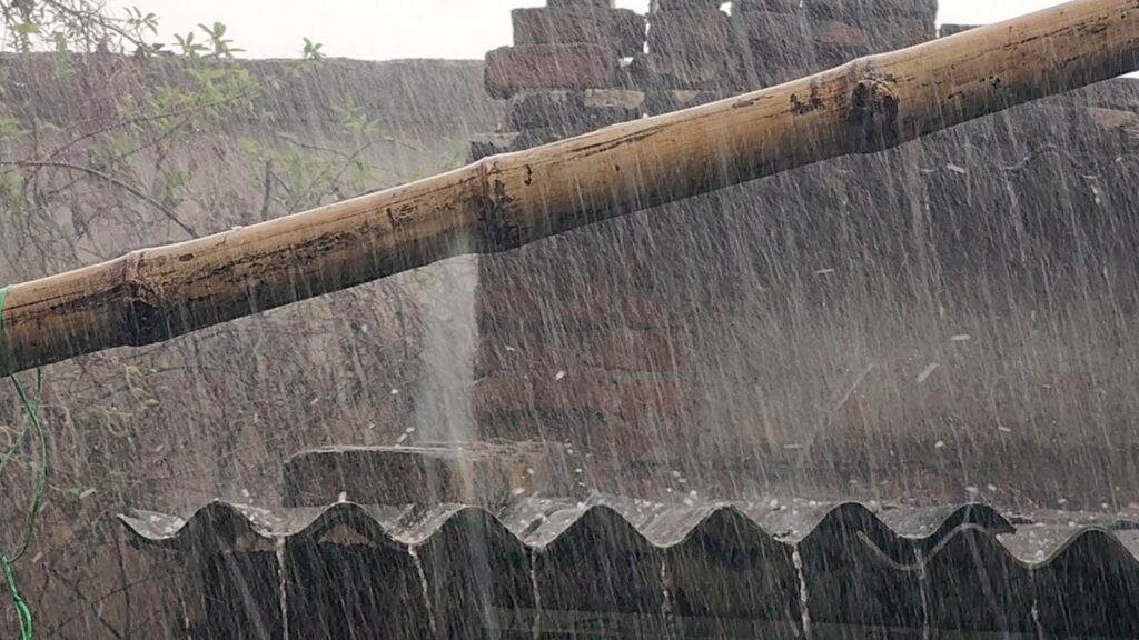 बलरामपुर में बदला मौसम का मिजाज, गरज-चमक के साथ ओलावृष्टि, किसानों की बढ़ी चिंता