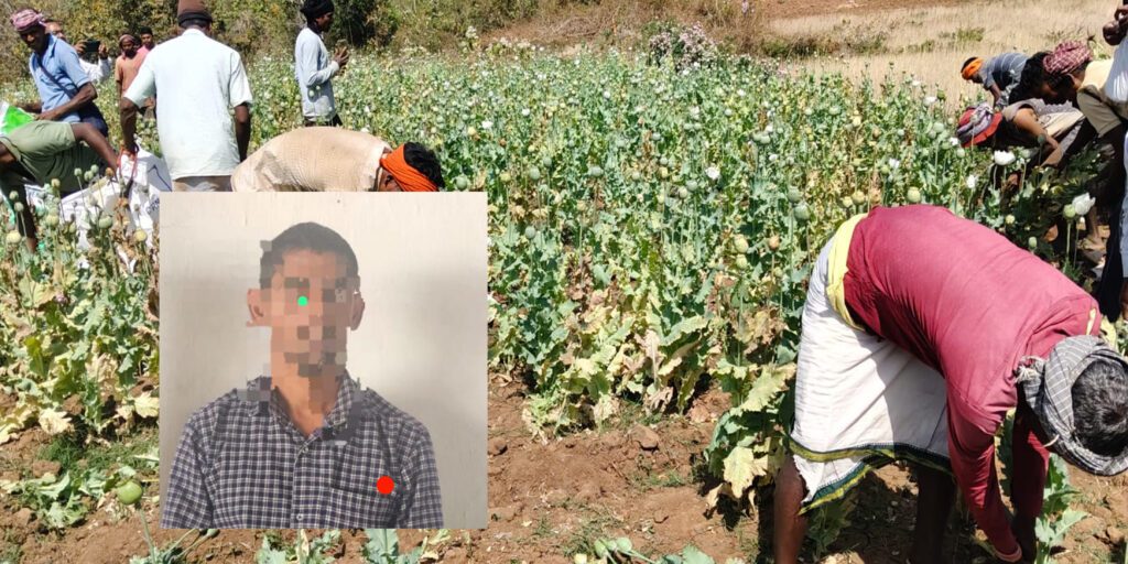 बलरामपुर अफीम खेती मामला: चौथा आरोपित झारखंड से गिरफ्तार, अंतरराज्यीय खरीद-बिक्री नेटवर्क उजागर