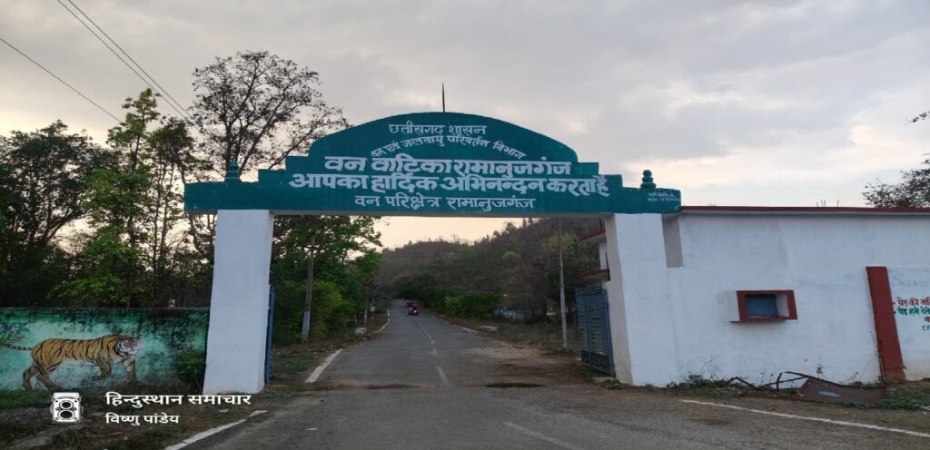 10 साल बाद फिर चलेगी नाव: रामानुजगंज वन वाटिका में जल्द शुरू होगी बोटिंग, जानिए एंट्री से लेकर नौका तक का पूरा रेट