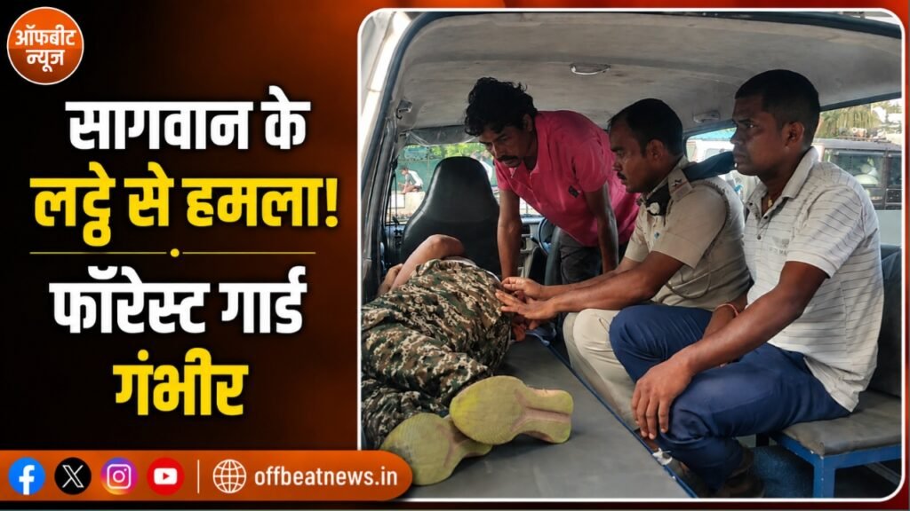 सागवान की लकड़ी ले जा रहे दंपती ने फॉरेस्ट गार्ड पर लट्ठे से किया हमला, सिर की हड्डी में फ्रैक्चर, भर्ती