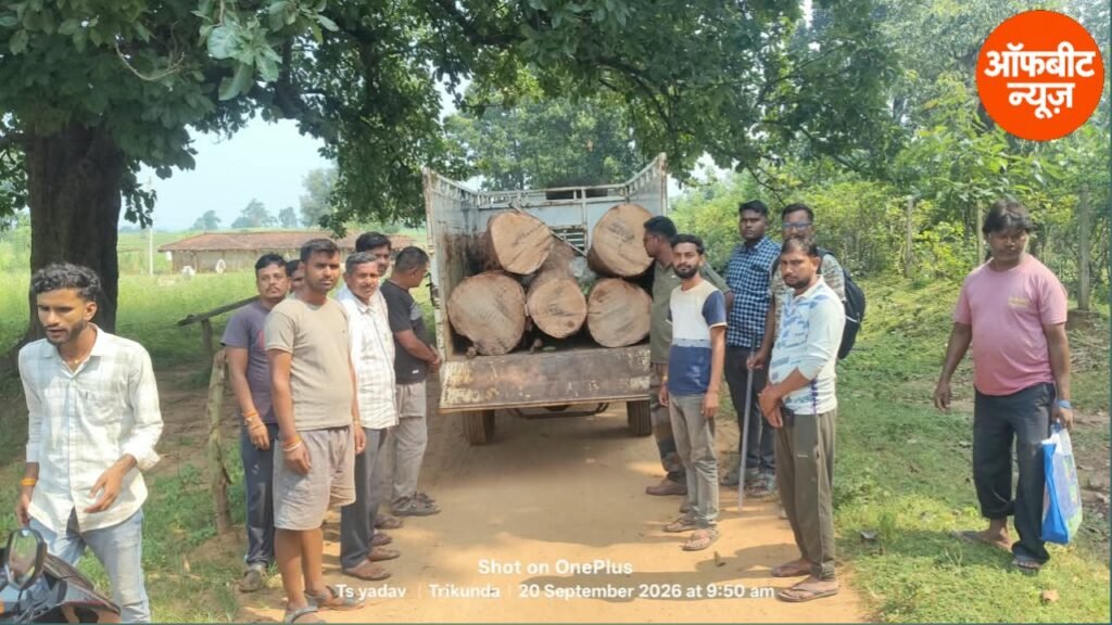 खीरा लोड करने के बहाने जंगल में बुलाया वाहन, साल के लट्ठे लोड करते वन विभाग ने पकड़ा