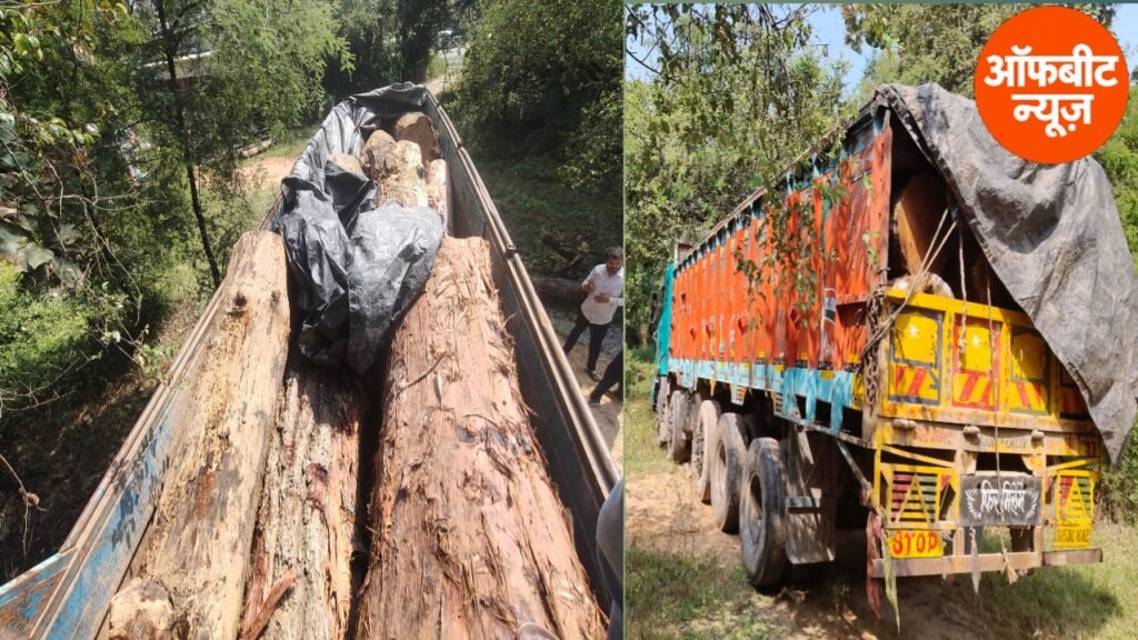 कन्हर बैरियर पर वन विभाग की बड़ी कार्रवाई, 19 साल लट्ठा से लदा ट्रक जब्त